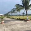 Palm Royal (PR-RL-TT1 TO PR-RL-TT25)