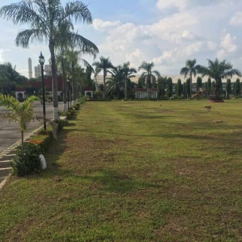 CHAMPAGNE PALM TWIN LOTS