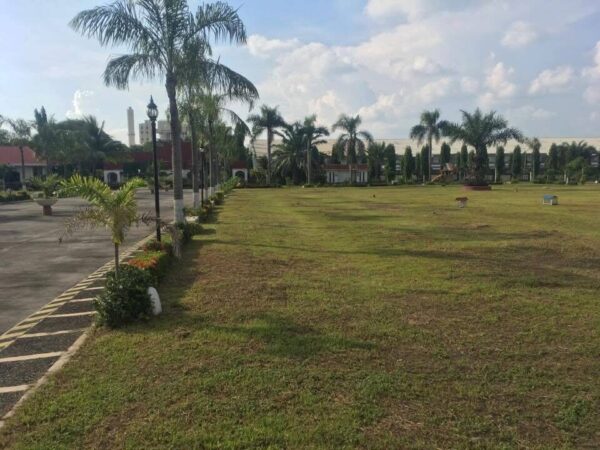 CHAMPAGNE PALM TWIN LOTS