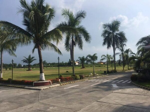 CHAMPAGNE PALM TWIN LOTS